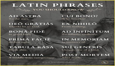 A Profile Of A Latin Beauty