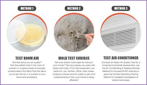 How can I test my home for mold?