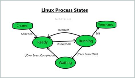 How do I trace a process in Linux?