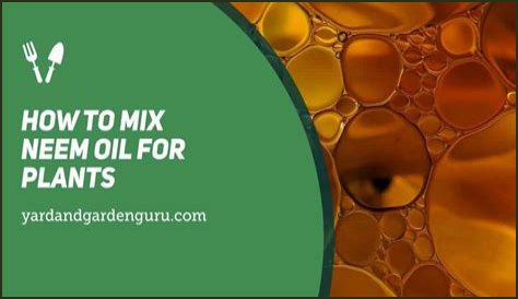 How do you mix neem oil extract?